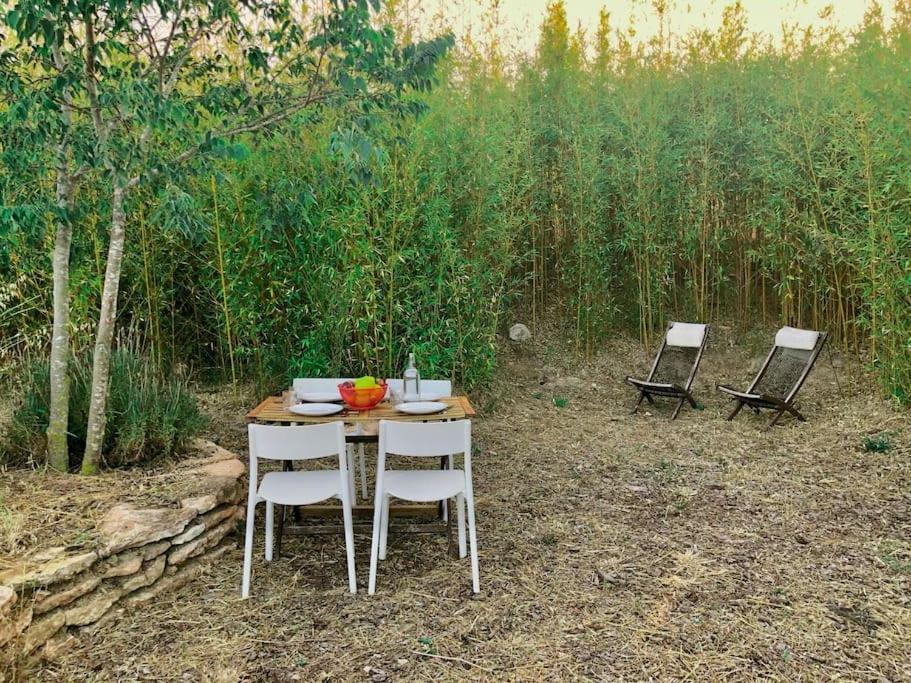Eco Tiny Home & Office For Digital Nomads Vallmoll Exterior foto